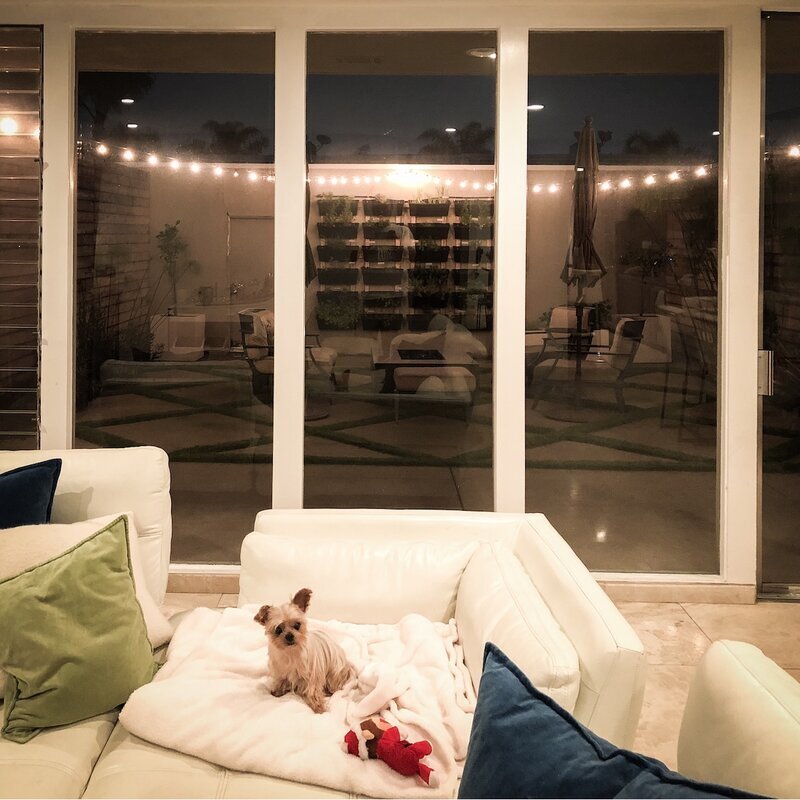 Small dog relaxing on the white couch in the evening with the lit patio at Beach House Bliss OC
