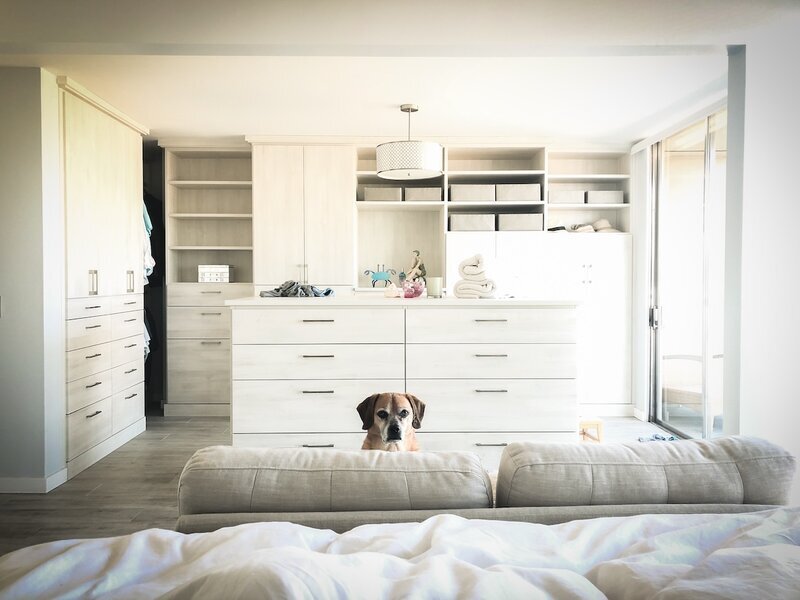 Curious dog peeking over the bed in the bright bedroom at Beach House Bliss OC private home dog sitting