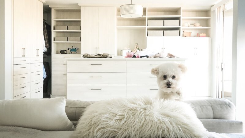 Terri's dog Plum welcoming a guest dog at Beach House Bliss OC, Huntington Beach
